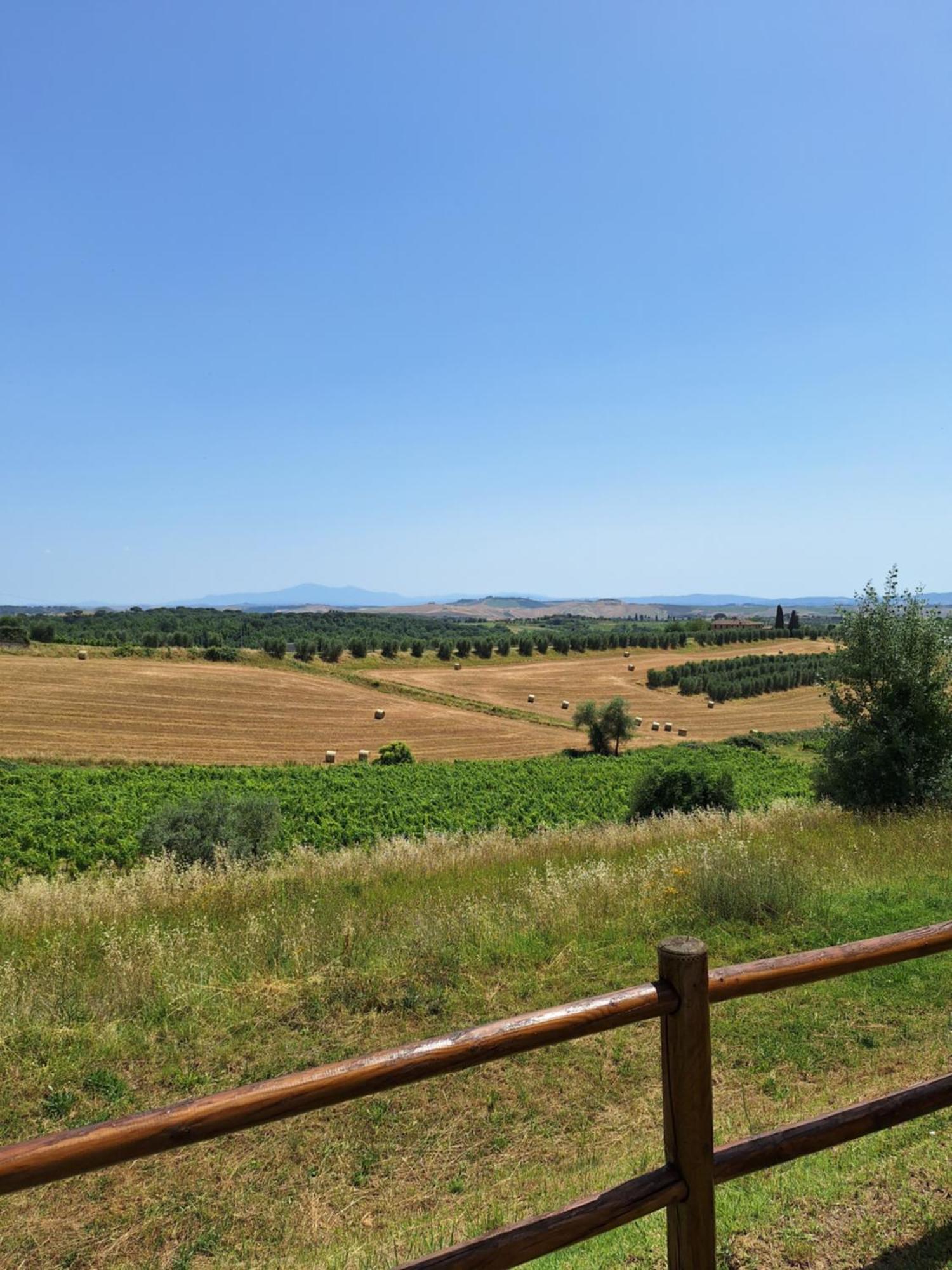 Casa Paola Nel Chianti Bed & Breakfast Кастелнуово Берарденга Екстериор снимка